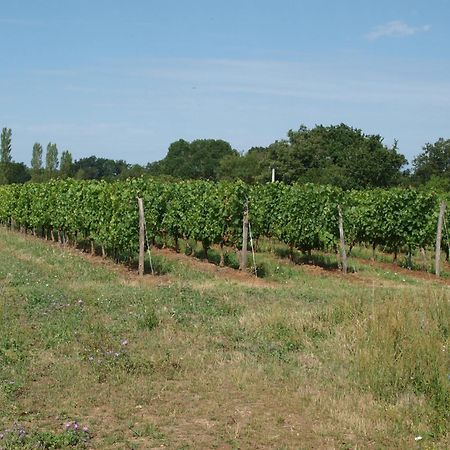 Le Logis Du Livier Hotel Saint-Georges-sur-Layon Luaran gambar